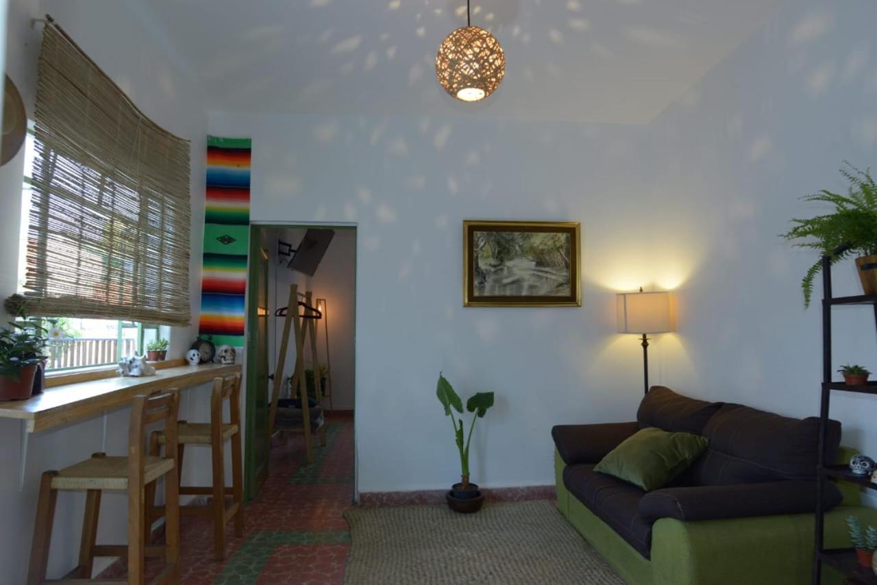 Posada Casa Mexicana Jamaica 墨西哥城 外观 照片